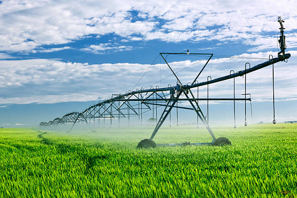 IRRIGATION